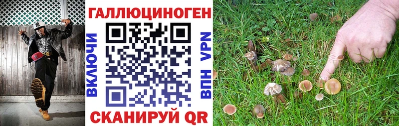 Галлюциногенные грибы Psilocybe  хочу наркоту  Томари 